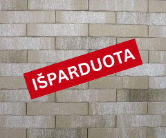 "Feldhaus Klinker" klinkerinės plytelės R771DF14