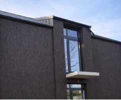 "Feldhaus Klinker" klinkerinės plytelės R669XLDF14