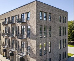 "Feldhaus Klinker" klinkerinės plytelės R682DF11-17
