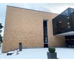 "Feldhaus Klinker" klinkerinės plytelės R688 Sabioso