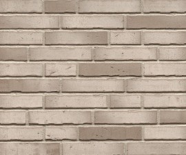 "Feldhaus Klinker" klinkerinės plytelės R941 Argo Albula