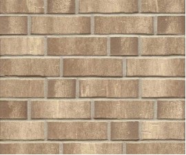 "Feldhaus Klinker" klinkerinės plytos K784 Accudo