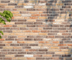 "Randers Tegl" klinkerinės plytos RT 247 ReClay EcoBlend #1
