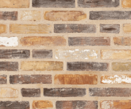 "Randers Tegl" klinkerinės plytos RT 247 ReClay EcoBlend #1