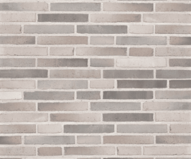 "Randers Tegl" klinkerinės plytos RT 553FF Gaia
