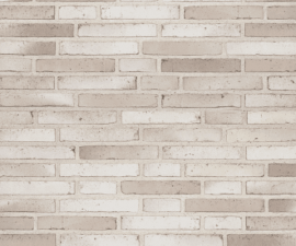 "Randers Tegl" klinkerinės plytos RT 554FF Eos