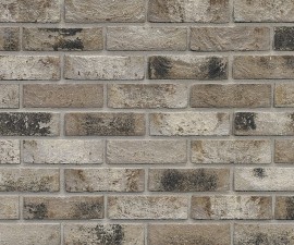 "Vandersanden" plytos 155 Vecto 