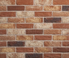 "Vandersanden" plytos 25 Zinnia 