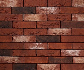 "Vandersanden" plytos 588 Irene 