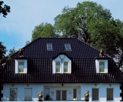 "Creaton" Premion 606 Kristall schwarz glasiert noblesse čerpės