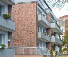 "Feldhaus Klinker" klinkerinės plytelės R685DF11